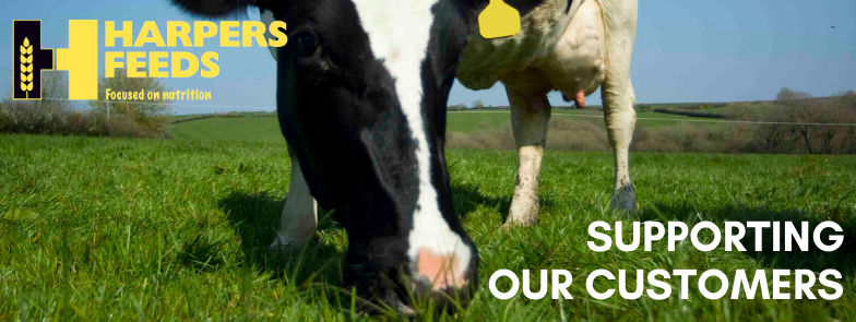 Supporting_our_Farmers_Header.png