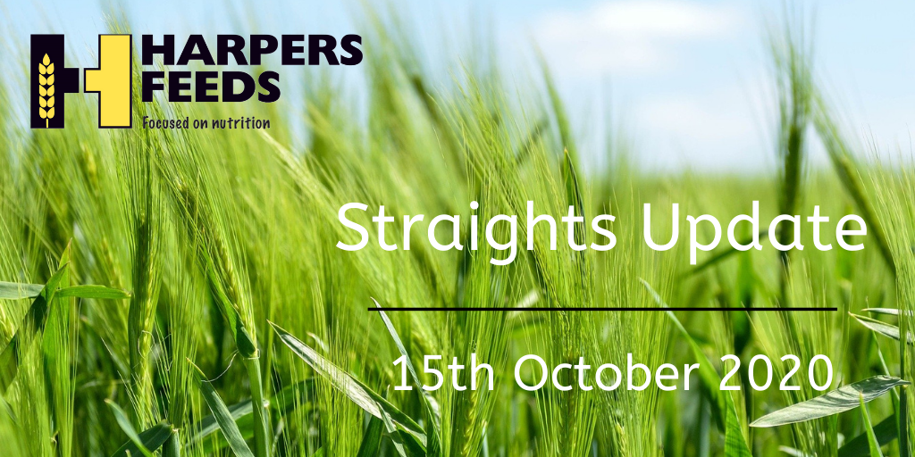 Straights_Banner_15.10.20.png