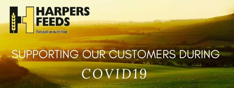 Covid_19_header_1.jpg