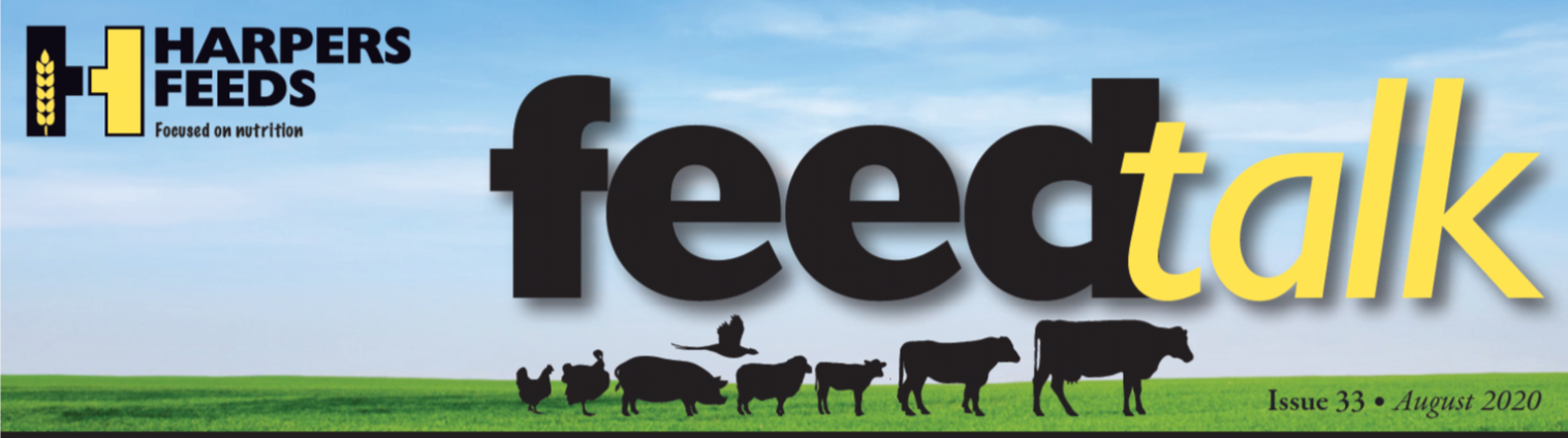August Feedtalk Newsletter