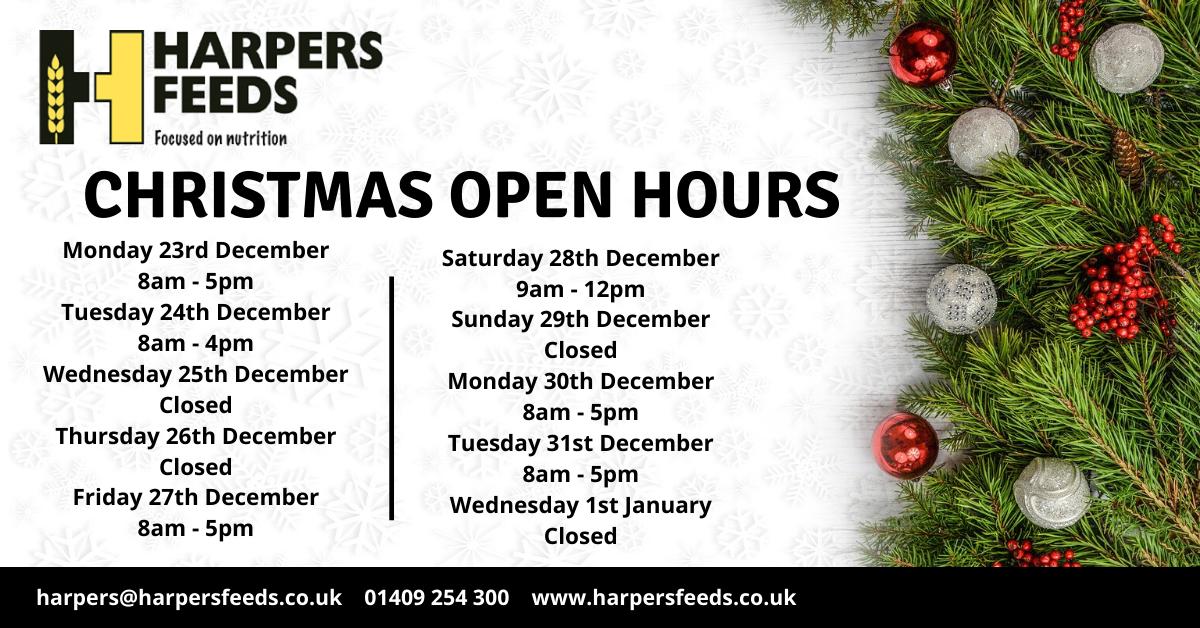 Christmas_Open_Hours.png