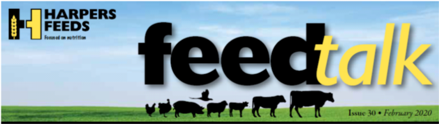 feb_feedtaalk.png