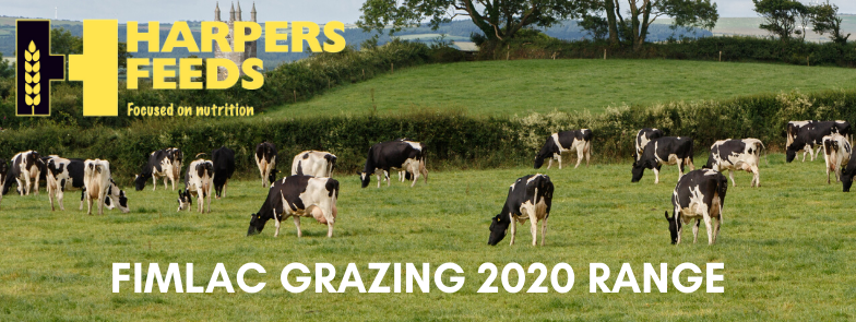 Spring_Dairy_Header.png