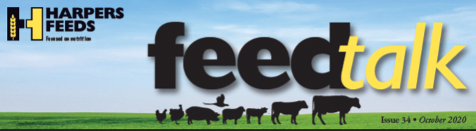 Oct_Feedtalk.png