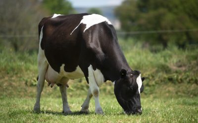 February Feedtalk 2026