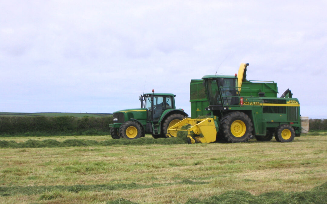 collecting silage
