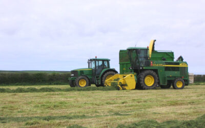 Maximise protein retention in silage