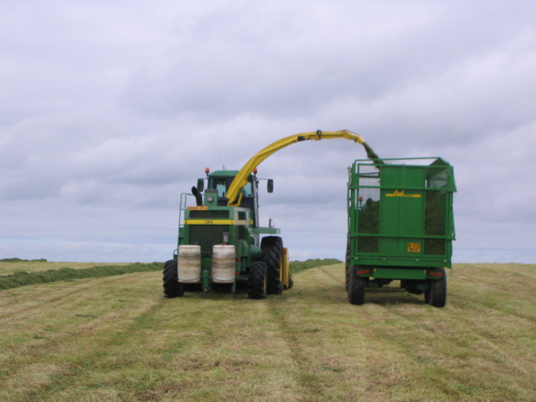 combine harvester and trailer collecting silage