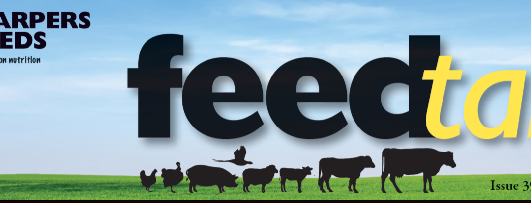 August Feedtalk