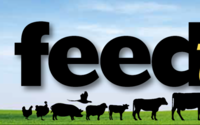 October Feedtalk