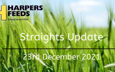 Straights Update 23rd December 2021