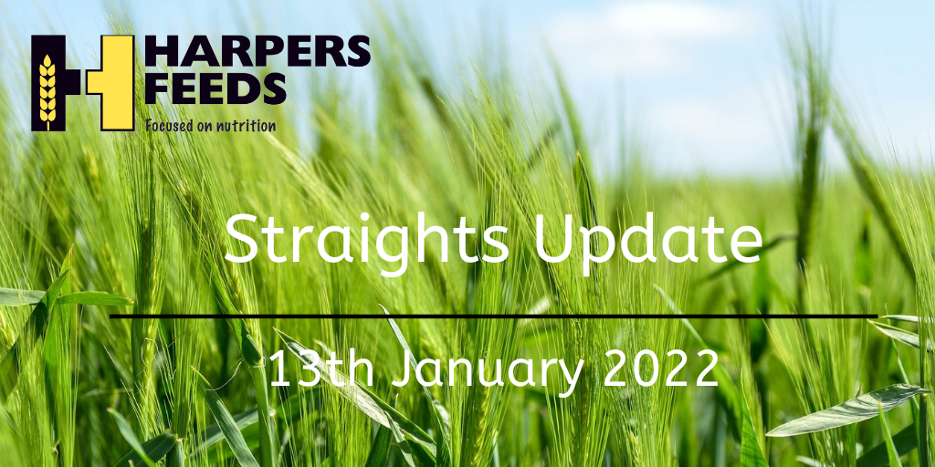 Straights Update 13th January 2022