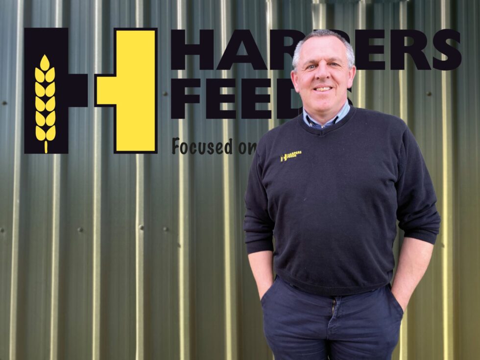 Meet The Team Harpers Feeds