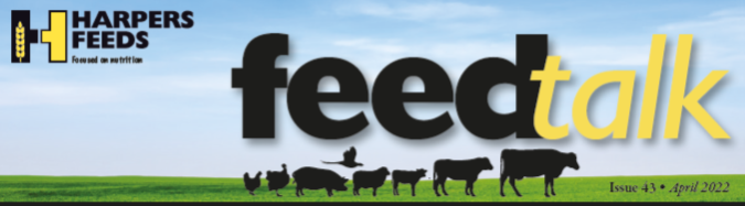 April Feedtalk