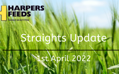 Straights Update 1st April 2022
