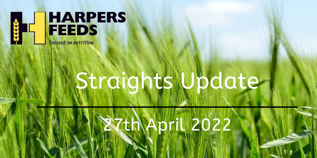 Straights Update 27th April 2022