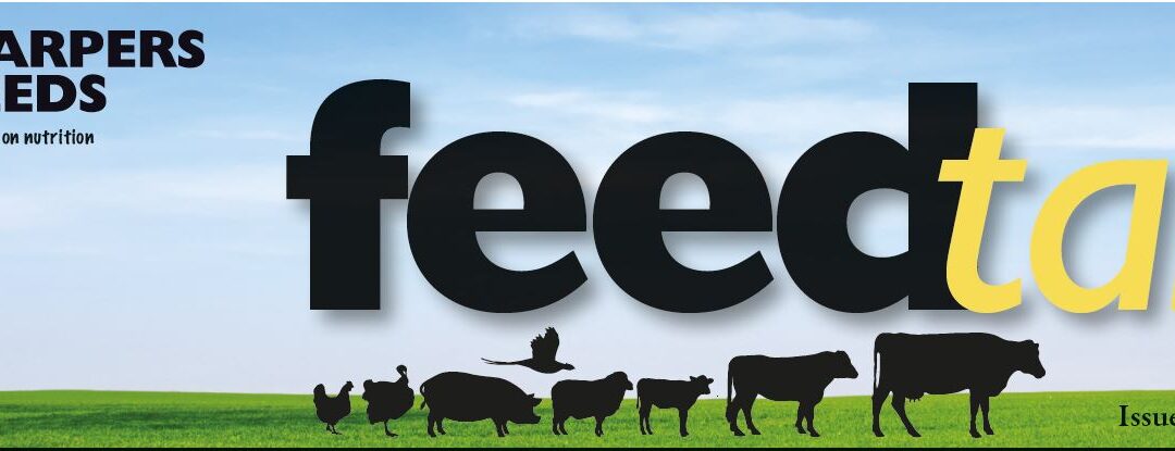 June Feedtalk