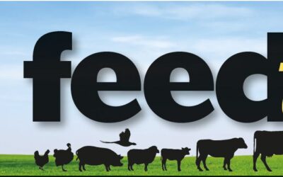 June Feedtalk