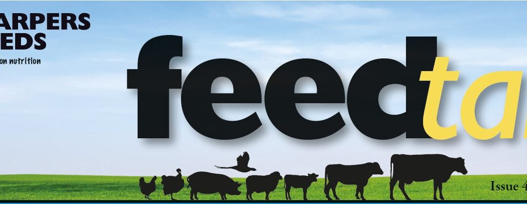 August Feedtalk Header