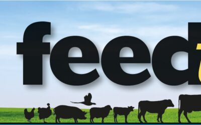 August Feedtalk