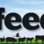 August Feedtalk Header