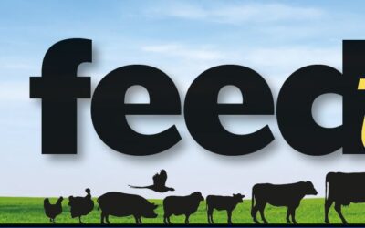 October Feedtalk