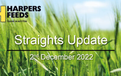 Straights Update 2nd December 2022