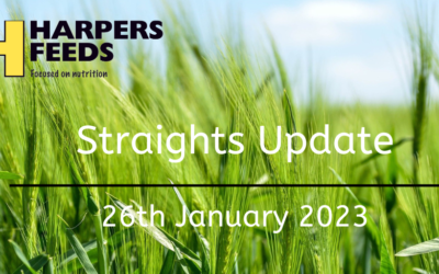 Straights Update 26th January 2023