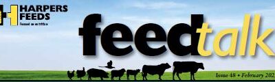 February Feedtalk 2023