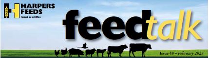 February Feedtalk 2023