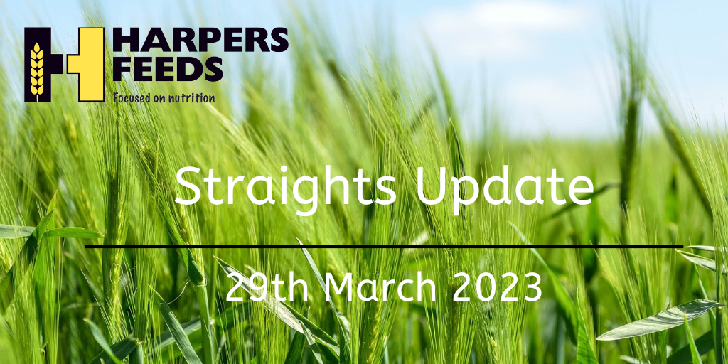 Straights Update 29th March 2023