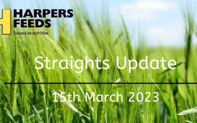 Straights Update 15th March 2023
