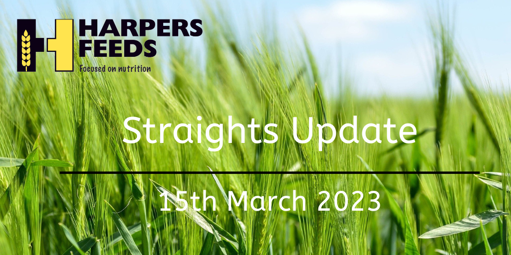 Straights Update 15th March 2023