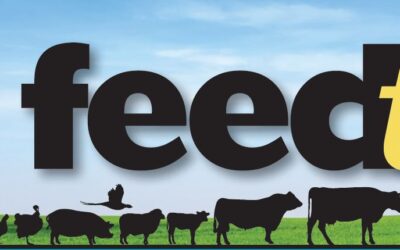 Spring Feedtalk 2023