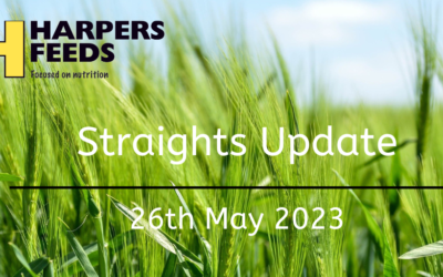 Straights Update 26th May 2023