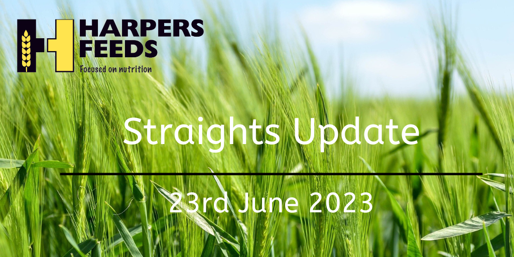 Straights Update 23rd June 2023