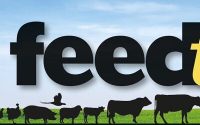 Summer Feedtalk 2023