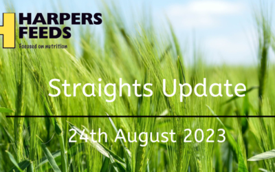 Straights Update 24th August 2023