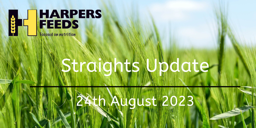 Straights Update 24th August 2023