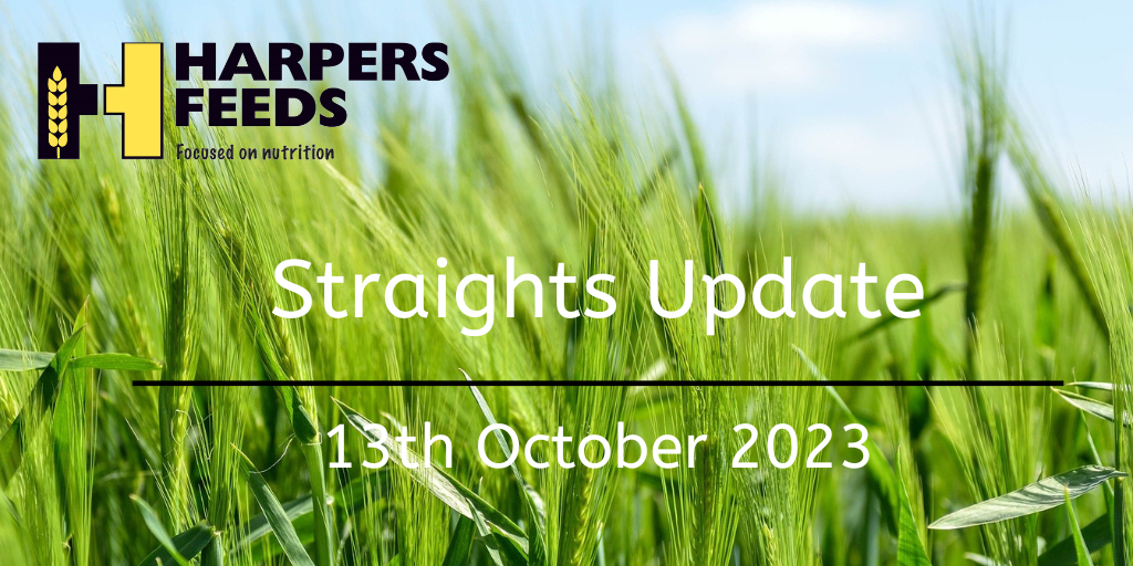 Straights Update 13th October 2023