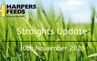 Straights Update 30th November 2023