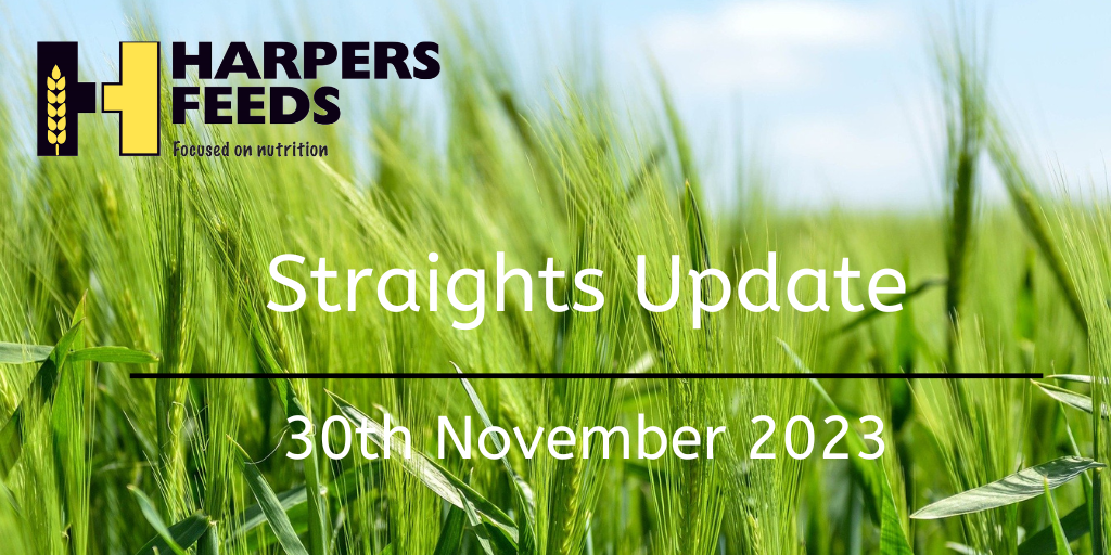 Straights Update 30th November 2023