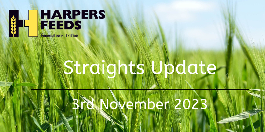 Straights Update 3rd November 2023