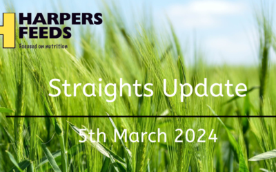 Straights Update 5th March 2024