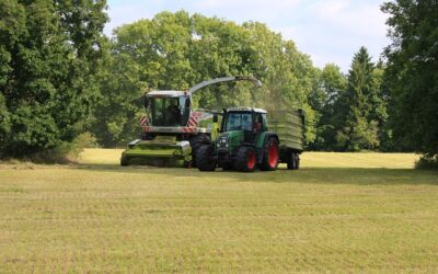 Quality Silage