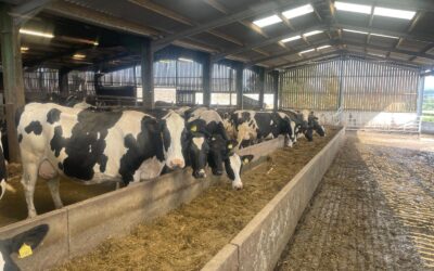 October Feedtalk 2025