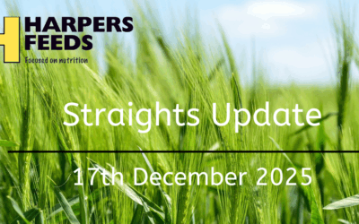 Straights Update 17th December 2025