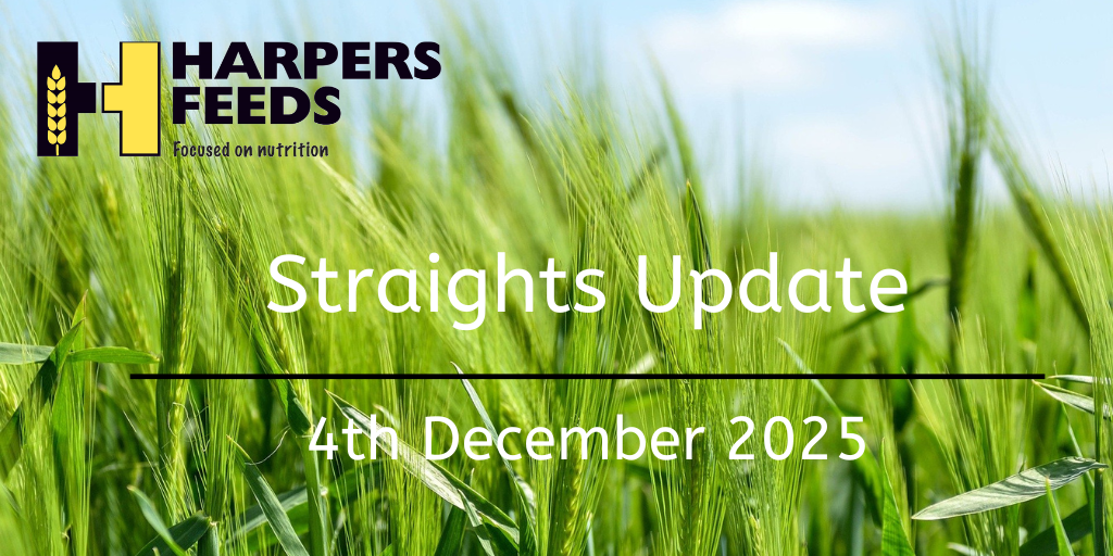 Straights Update 4th December 2025