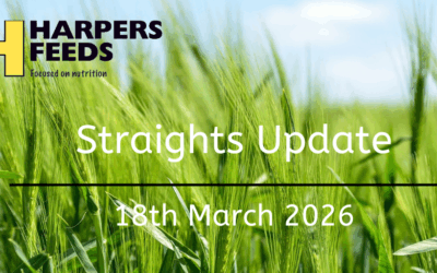 Straights Update 18th March 2026