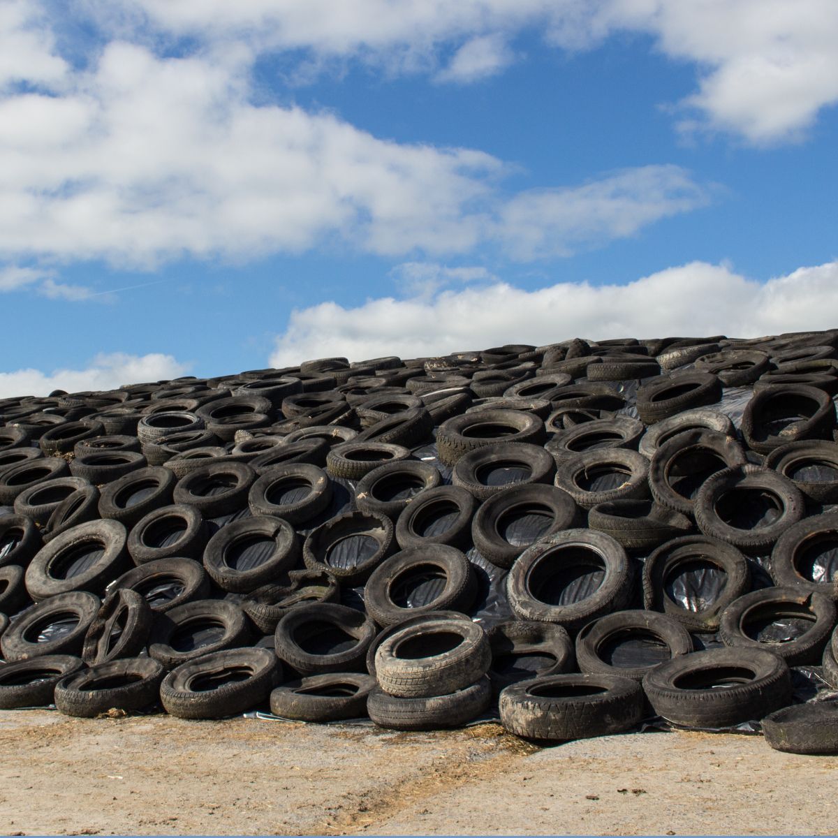 Untitled design (29)